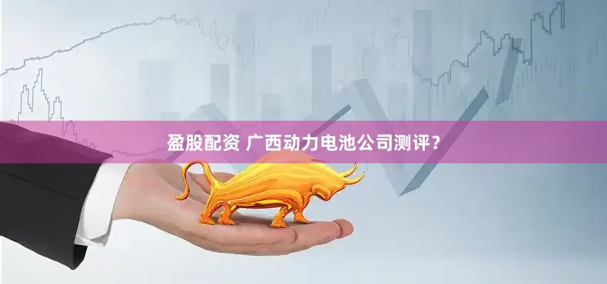 盈股配资 广西动力电池公司测评？
